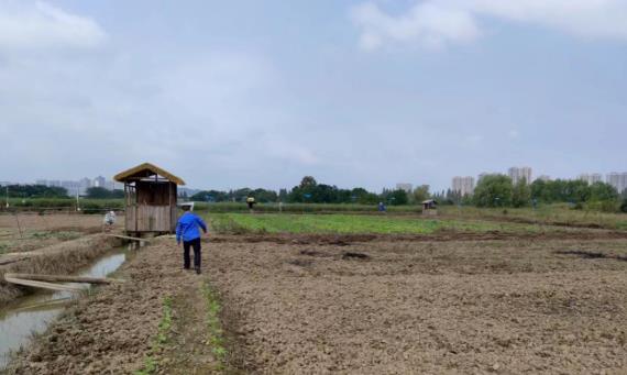 “利劍”出鞘!開(kāi)福區查處露天焚燒違法行為