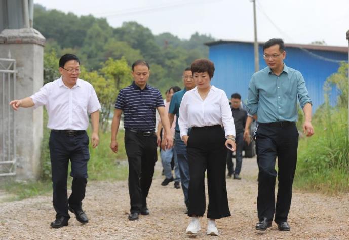 湖南省生態(tài)環(huán)境廳實(shí)地調研幫扶婁底市地下水污染防治試驗區項目建設