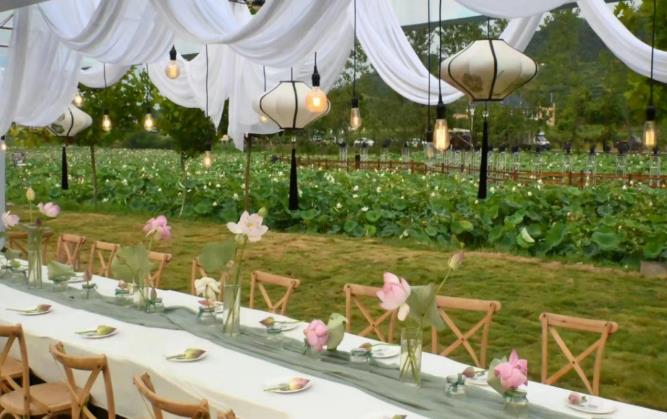 江西省非道路移動(dòng)機械排氣污染防治條例條文 江西省生態(tài)環(huán)境廳