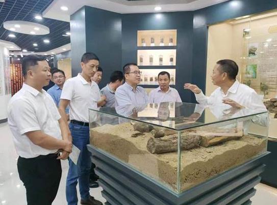 生態(tài)環(huán)境部調研組到羅田縣開(kāi)展“兩山”實(shí)踐創(chuàng  )新基地現場(chǎng)調研活動(dòng)